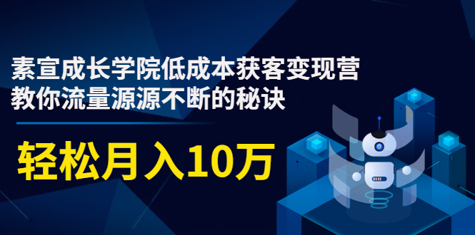 素宣成长学院低成本获客变现营，教你流量源源不断的秘诀，轻松月入10万-逐风项目库