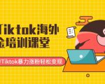 最新Tiktok海外掘金培训课堂：带你玩转Tiktok暴力涨粉轻松变现-逐风项目库