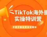 TikTok海外掘金实操特训营：手把手教运营变现赚钱-逐风项目库