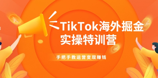 TikTok海外掘金实操特训营：手把手教运营变现赚钱-逐风项目库