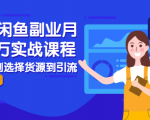 2021闲鱼副业月入过万实战课程：从开店到选择货源到引流，全程实战教学-逐风项目库