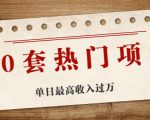 30套热门项目：单日最高收入过万 (网赚项目、朋友圈、涨粉套路、抖音、快手)等-逐风项目库