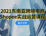 2021东南亚跨境电商Shopee实战运营课程，0基础、0经验、0投资的副业项目-逐风项目库