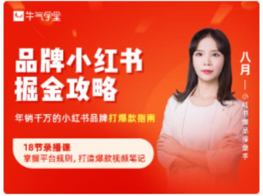 品牌小红书掘金攻略，年销千万的小红书品牌打爆款指南-逐风项目库