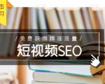 未来新趋势，布局短视频SEO，如何利用抖音SEO免费获得精准流量（3节课）-逐风项目库