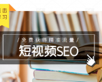 未来新趋势，布局短视频SEO，如何利用抖音SEO免费获得精准流量（3节课）-逐风项目库