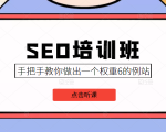 SEO培训班课程，手把手教你做出一个权重6的例站，价值8000元-逐风项目库