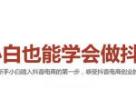 2021最新抖音小店无货源课程，小白也能学会做抖店，轻松月入过万-逐风项目库