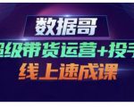 数据哥·超级带货运营+投手线上速成课，快速提升运营和熟悉学会投手技巧-逐风项目库
