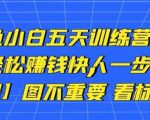 卓让闲鱼小白五天训练营，每天一小时，轻松赚钱快人一步-逐风项目库