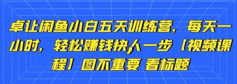 卓让闲鱼小白五天训练营，每天一小时，轻松赚钱快人一步-逐风项目库