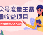 公众号流量主暴利撸收益项目，空闲时间操作单人月入过万-逐风项目库
