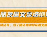 朋友圈文案培训课，听了就会写，写了就会卖的朋友圈文案课-逐风项目库