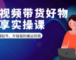 短视频带货好物分享实操课：快速起号，升级版防搬运剪辑-逐风项目库