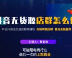 蟹老板·抖音无货源店群怎么做，吊打市面一大片《抖音无货源店群》的课程-逐风项目库