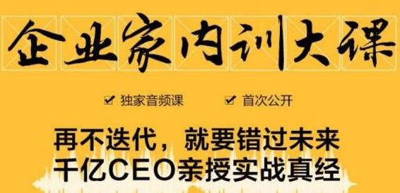 企业家内训大课，未来企业必学经验，价值1299元-逐风项目库