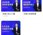 湛北·抖音小店入门进阶高阶合集，八大玩法打造百万店铺-逐风项目库