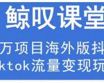 鲸叹号·海外TIKTOK训练营，百万项目海外版抖音tiktok流量变现玩法-逐风项目库