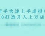 2022年虚拟项目实战指南，新手从0打造月入上万店铺-逐风项目库