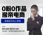 猴帝电商直播起号课，零粉零作品开播底层逻辑，直播五天打爆广场流量-逐风项目库