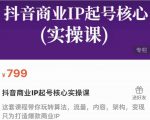 抖音商业IP起号核心实操课，带你玩转算法，流量，内容，架构，变现-逐风项目库