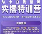 Seven漆·2022Tiktok从小白到精英实操特训营，带你掌握Tiktok账号运营-逐风项目库