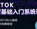 Tiktok实操进阶课程，体验从tiktok小透明到大佬的完美蜕变-逐风项目库