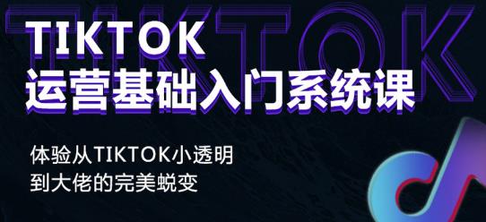Tiktok实操进阶课程，体验从tiktok小透明到大佬的完美蜕变-逐风项目库