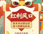 左右电商拼多多无货源店群玩法：从0~1，36节实战保姆教程，​极速起店必出单-逐风项目库