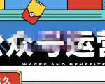 零零已久·从0-1运营公众号，零基础小白也能上手，系统性了解公众号运营-逐风项目库