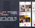 麦子互娱短视频带货·0基础做好物分享账号，无需出镜无需货源无需拍摄-逐风项目库