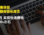 虚拟图集项目：矩阵站群自动化成交，3-5个月实现快速赚钱月入1W+左右-逐风项目库