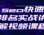 seo快速排名实战讲解视频课程，揭秘seo快排原理-逐风项目库