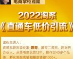 茂隆2022直通车低价引流玩法，教大家如何低投入高回报的直通车玩法-逐风项目库