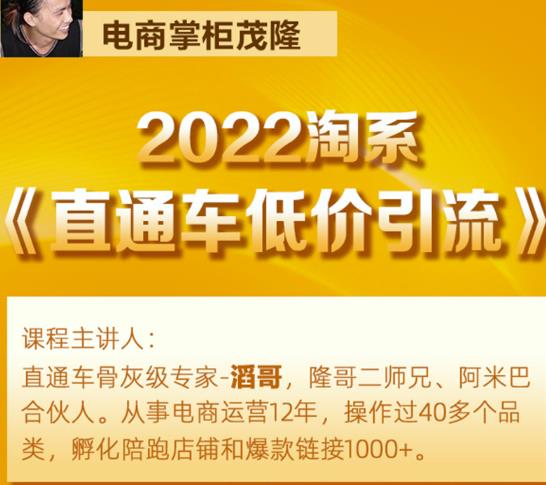 茂隆2022直通车低价引流玩法，教大家如何低投入高回报的直通车玩法-逐风项目库