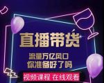 【及至专享】DY赋能系统星课程，流量万亿风口，你准备好了吗-逐风项目库