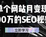 单个网站月变现100万的SEO秘密，百分百做出赚钱站点-逐风项目库