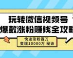 玩转微信视频号爆款涨粉赚钱全攻略，快速涨粉百万变现万元秘诀-逐风项目库