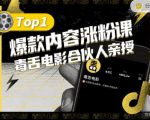 【毒舌电影合伙人亲授】抖音爆款内容涨粉课，5000万抖音大号首次披露涨粉机密-逐风项目库