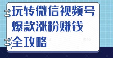 玩转微信视频号爆款涨粉赚钱全攻略，让你快速抓住流量风口，收获红利财富-逐风项目库