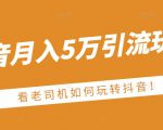 老古董·抖音月入5万引流玩法，看看老司机如何玩转抖音(附赠：抖音另类引流思路)-逐风项目库
