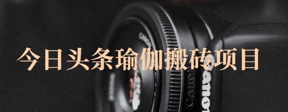 猎人社区·今日头条瑜伽搬砖项目，单号一天几十收入，可以批量操作！-逐风项目库