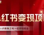 渣圈学苑·小红书虚拟资源变现项目，一起捞钱掘金价值1099元-逐风项目库