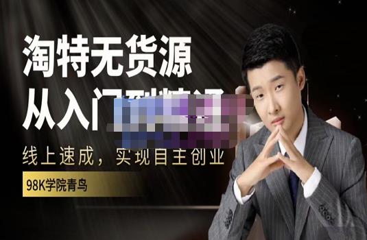 98k学院的淘特无货源线上速成课，从入门到精通，让你最小投入，最高回报-逐风项目库