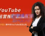 外国人眼中的YouTube该怎么玩？Elisa·YouTube运营推广实战技巧-逐风项目库