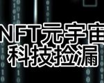 【元本空间sky七级空间唯一ibox幻藏等】NTF捡漏合集【抢购脚本+教程】-逐风项目库