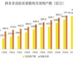 蓝海项目拼多多视频带货课，2022年入百万新风口【视频教程+软件】-逐风项目库