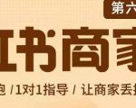 贾真-小红书商家营第6期商家版，21天带货陪跑课，让商家丢掉付流量-逐风项目库
