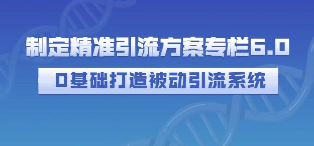制定精准引流方案专栏6.0，0基础打造被动引流系统-逐风项目库