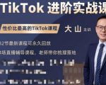 大山老师TikTok进阶实战课：账号详解，流量运营，实战变现，助力你成功出海-逐风项目库